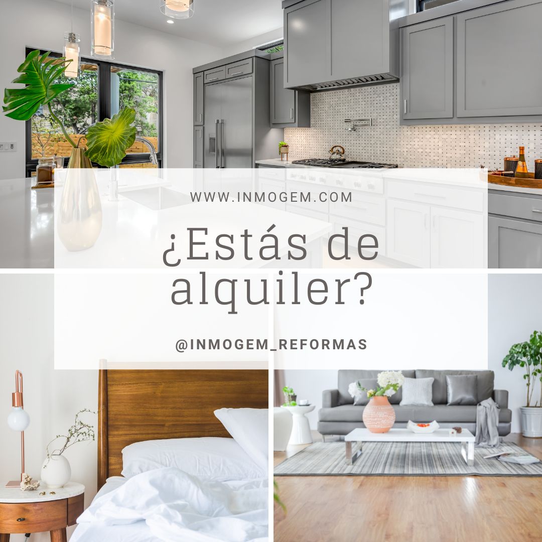 ¿Estás de alquiler y tienes problemas en el interior de la vivienda? ¿Quién debe repararlos? #tedamoslarespuesta