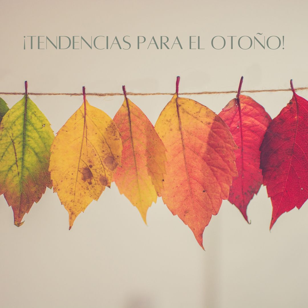 ¡Tendencias de decoración y reforma para el otoño!